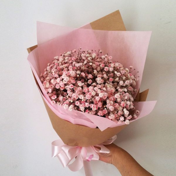 Coloured Baby's Breath - Image 2