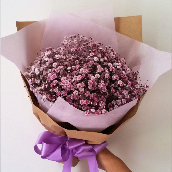 Coloured Baby's Breath - Image 3