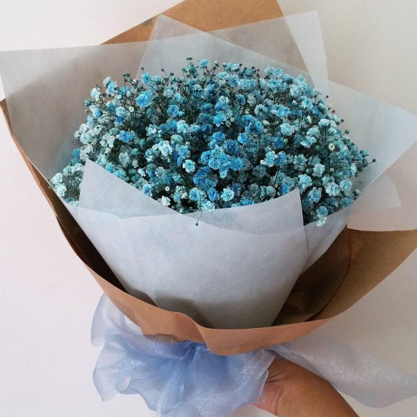 Coloured Baby's Breath - Image 4