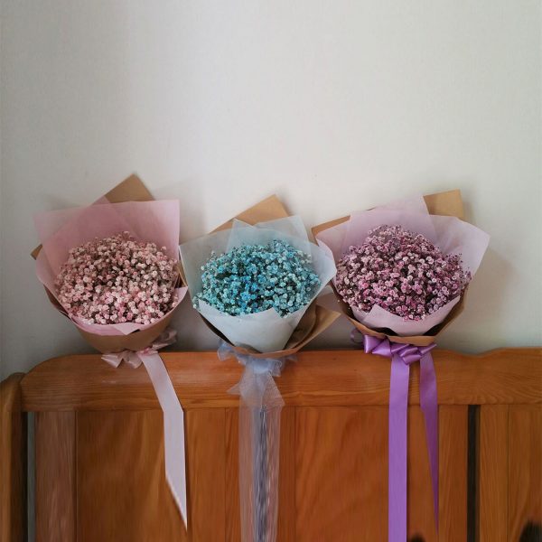 Coloured Baby's Breath