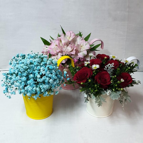 Desktop Arrangements