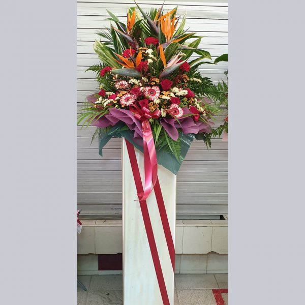 Bird Of Paradise, Carnations & Gerberas