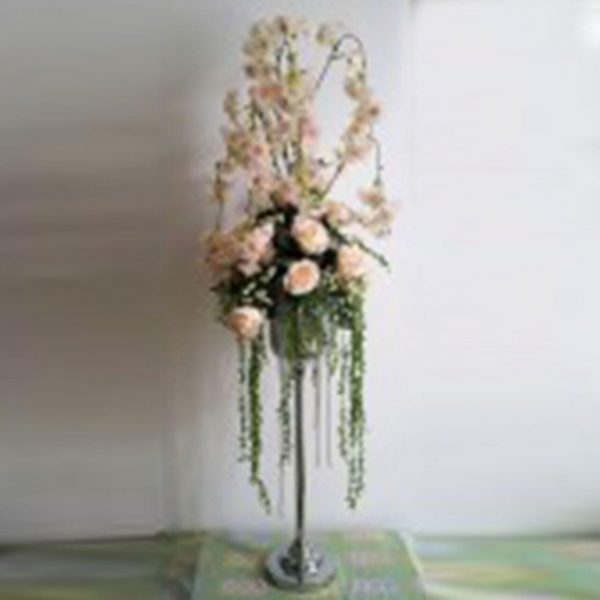 Sukura With Roses In High St&