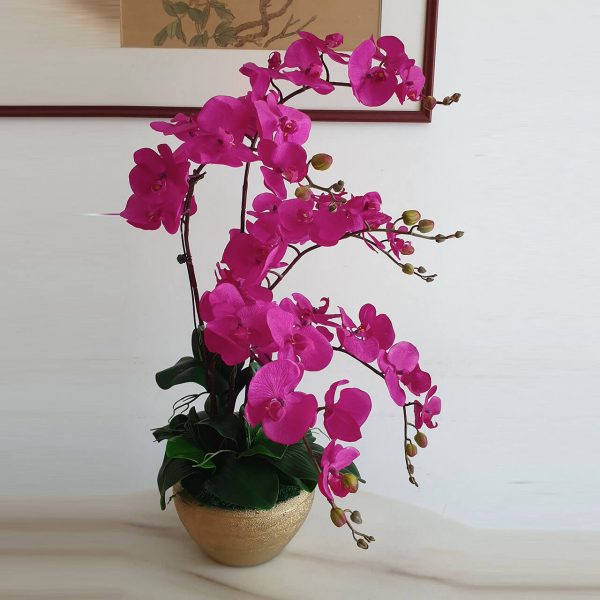 Artifical Phalaenopsis Orchid