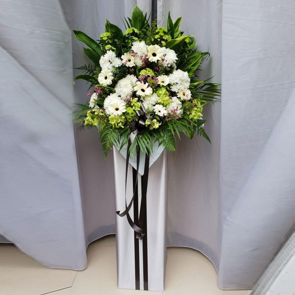 Assorted Pom Pom With Gerberas